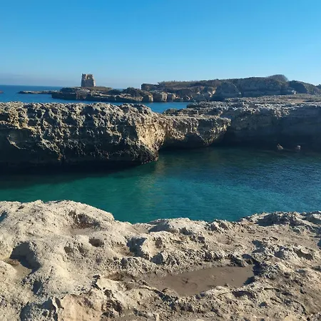 فيلة Salentina
